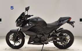 KAWASAKI Z250 ER250C