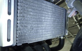 HONDA HORNET 250 2026 MC31