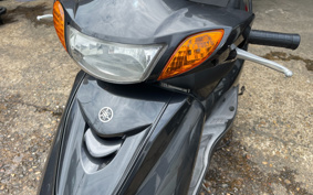 YAMAHA AKUSHI STREET SE53J