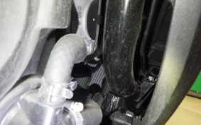 HONDA FORZA 250 2020 MF13