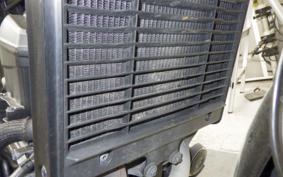 HONDA REBEL 1100 DCT 2021 SC83