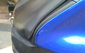 SUZUKI  SKY WAVE 250TYPES CJ43A