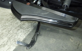 HARLEY FLTRXSE1920CVO 2018