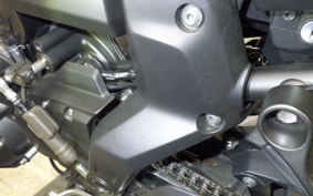 YAMAHA MT-07 2025 RM48J