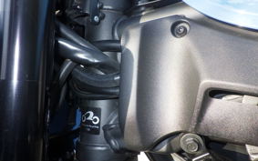 KAWASAKI Z900RS CAFE 2019 ZR900C