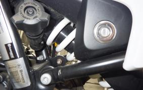 HUSQVARNA NORDEN901 2022