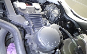 HONDA HORNET 250 2016 MC31