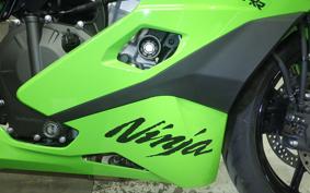 KAWASAKI ZX-4RR 2025 ZX400P