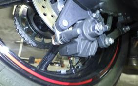 KAWASAKI NINJA 1000SX 2024 ZXT02K