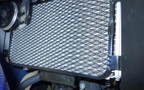 SUZUKI GSX250RA 2008