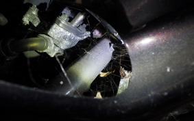 HONDA FORZA Z 2006 MF08