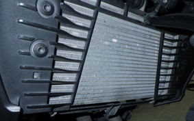 YAMAHA MT-25 A RG43J
