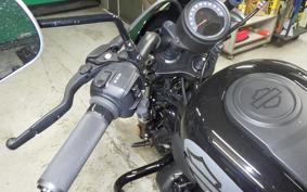 HARLEY RH975 2022