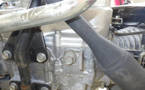 HONDA C110 SUPER CUB