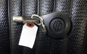 HARLEY FLTRXS1750 2018