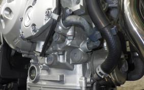 YAMAHA FZ1 FAZER 2009 RN21J