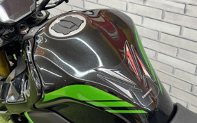 KAWASAKI Z900 2022 ZR900B