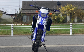 YAMAHA WR250R DG15J