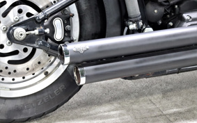 HARLEY FXSTB 2001 BTY