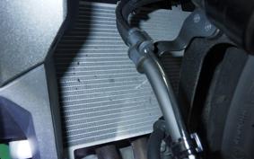 KAWASAKI ZX-4R SE 2025 ZX400P