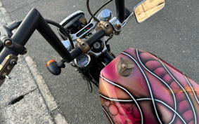 HARLEY HARLEY XL883R 2009 CS2