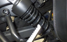 HONDA REBEL 250 S 2008 MC49