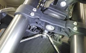 TRIUMPH STREET TRIPLE RS 2022