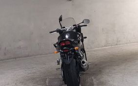 YAMAHA FZ1 FAZER 2007 RN17