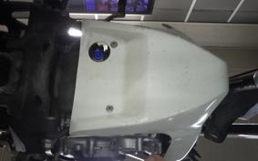 YAMAHA WR250X DG15J