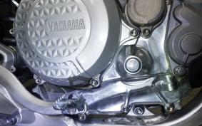 YAMAHA YZ450 F CJ41C