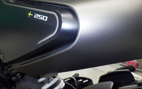 HUSQVARNA SVARTPILEN 250 2013