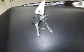 HONDA HORNET 250 2022 MC31