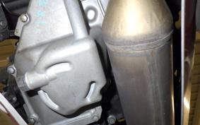 KAWASAKI NINJA 250 EX250P