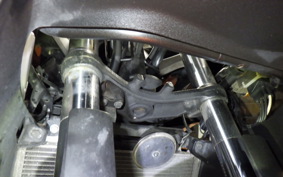 KAWASAKI NINJA 250 EX250L