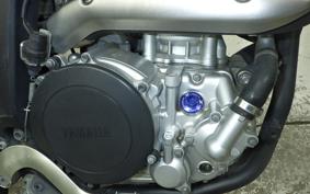 YAMAHA WR250X 2009 DG15J
