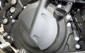 KAWASAKI NINJA 250 2019