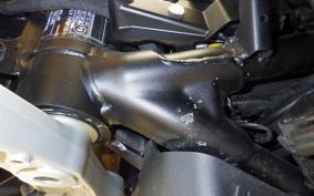 TRIUMPH TIGER 900 RALLY PRO 2025