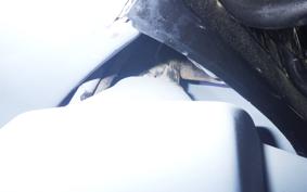 HONDA GYRO UP 2008 TA01