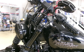 HARLEY FXBB 2019 YJJ