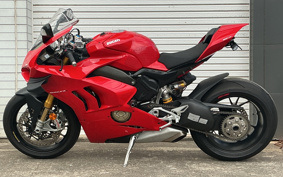 DUCATI PANIGA-REV4S 2021 DA00J