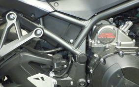 KAWASAKI ZH2 2020 ZRT00K