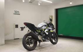 KAWASAKI NINJA 250 SL 2007