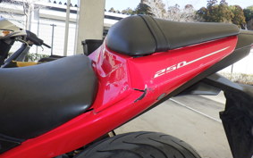 YAMAHA YZF-R25 RG10J