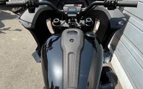 HARLEY  HARLEY FXLRST 2023 YXZ