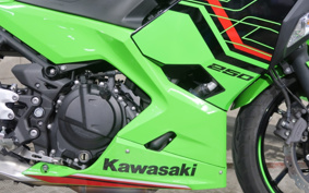 KAWASAKI NINJA 250 EX250Y