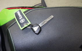 KAWASAKI ZX-4RR 2023 ZX400P