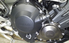 YAMAHA MT-09 2019 RN34J