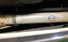 SUZUKI SKYWAVE 250 CJ44A