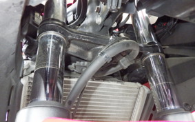 HONDA CBR400R 2022 NC56