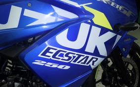 SUZUKI ｼﾞｸｻｰ250SF ED22B